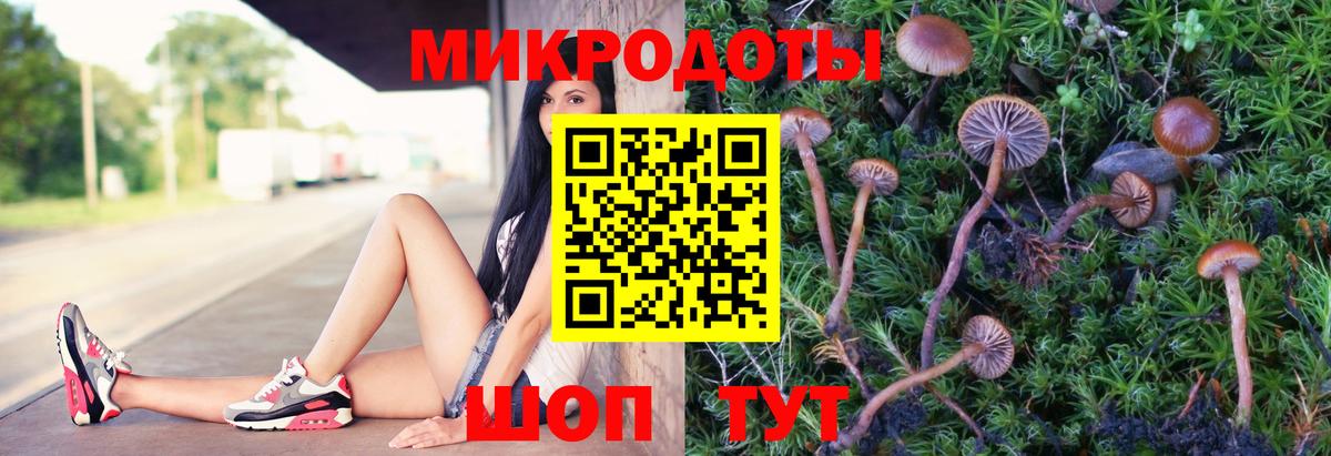 Галлюциногенные грибы MAGIC MUSHROOMS  Вход с VPN  Ртищево 